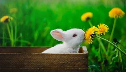 开云平台-西甲激烈争夺，专家解读战术变化，西甲loading